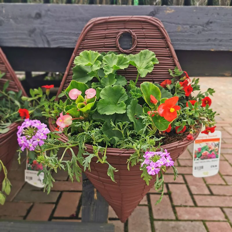 PLANTS