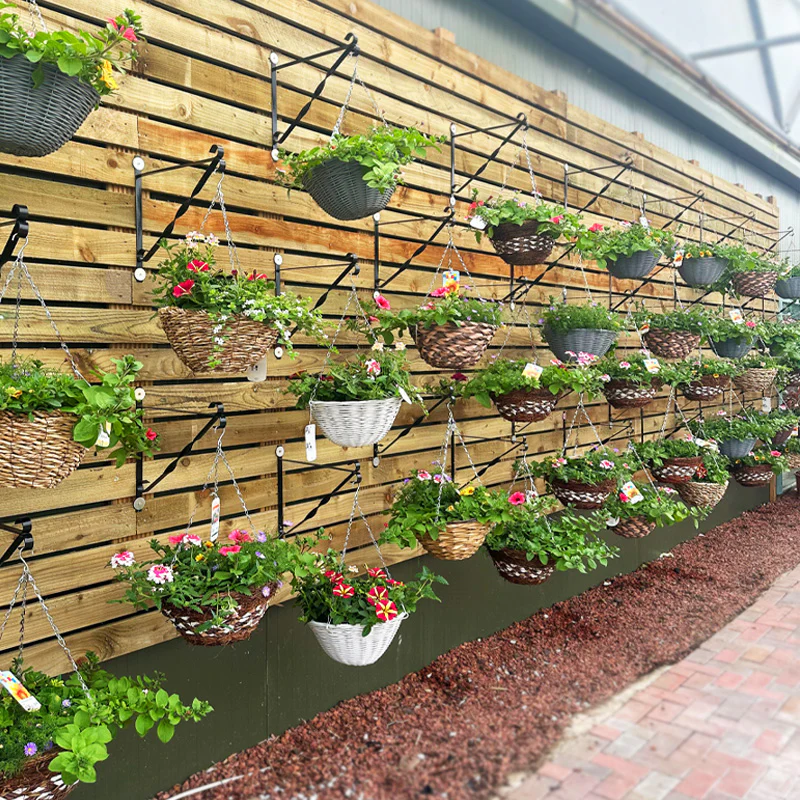 Hanging Basket 14 inch
